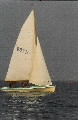 <a href='bateau.php?id_bateau_select=19'>Caneton(2375)</a> : <a href='equipier.php?id_contact_select=39'>Frédéric H</a> - <a href='equipier.php?id_contact_select=38'>François H</a>