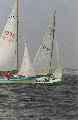 <a href='bateau.php?id_bateau_select=52'>485(1378)</a> : <a href='equipier.php?id_contact_select=115'>? ?</a> <br> <a href='bateau.php?id_bateau_select=19'>Caneton(2375)</a> : <a href='equipier.php?id_contact_select=39'>Frédéric H</a> - <a href='equipier.php?id_contact_select=38'>François H</a>