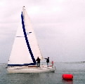 <a href='bateau.php?id_bateau_select=31'>AQUILA(14274)</a> : <a href='equipier.php?id_contact_select=67'>Didier L</a> - <a href='equipier.php?id_contact_select=82'>Jean Philippe L</a> - <a href='equipier.php?id_contact_select=103'>Eric d</a>