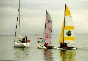 <a href='bateau.php?id_bateau_select=31'>AQUILA(14274)</a> : <a href='equipier.php?id_contact_select=67'>Didier L</a> - <a href='equipier.php?id_contact_select=82'>Jean Philippe L</a> - <a href='equipier.php?id_contact_select=103'>Eric d</a>