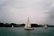 <a href='bateau.php?id_bateau_select=47'>Flirt</a> : <a href='equipier.php?id_contact_select=71'>Sylvie d</a> - <a href='equipier.php?id_contact_select=74'>Noël G</a> - <a href='equipier.php?id_contact_select=73'>Antony B</a>