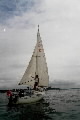 <a href='bateau.php?id_bateau_select=47'>Flirt</a> : <a href='equipier.php?id_contact_select=71'>Sylvie d</a> - <a href='equipier.php?id_contact_select=74'>Noël G</a> - <a href='equipier.php?id_contact_select=73'>Antony B</a>