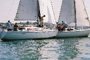 <a href='bateau.php?id_bateau_select=31'>AQUILA(14274)</a> : <a href='equipier.php?id_contact_select=67'>Didier L</a> - <a href='equipier.php?id_contact_select=68'>Cyrille L</a> - <a href='equipier.php?id_contact_select=69'>Frédéric B</a> - <a href='equipier.php?id_contact_select=70'>Bernard D</a> <br> <a href='bateau.php?id_bateau_select=34'>Sangria</a> : <a href='equipier.php?id_contact_select=77'>Luc V</a> - <a href='equipier.php?id_contact_select=78'>Frédérique V</a> - <a href='equipier.php?id_contact_select=79'>Paul V</a> - <a href='equipier.php?id_contact_select=105'>Vincent V</a> <br> <a href='equipier.php?id_contact_select=24'>Contact</a> <br> <a href='equipier.php?id_contact_select=23'>Contact</a> <br> <a href='bateau.php?id_bateau_select=14'>4.45(5045)</a> : <a href='equipier.php?id_contact_select=28'>JB F</a> - <a href='equipier.php?id_contact_select=29'>François F</a> <br> <a href='bateau.php?id_bateau_select=8'>420(46285)</a> : <a href='equipier.php?id_contact_select=15'>Hervé P</a> - <a href='equipier.php?id_contact_select=16'>Jean François ?</a> <br> <a href='bateau.php?id_bateau_select=25'>Laser(241)</a> : <a href='equipier.php?id_contact_select=53'>Benoit V</a> <br> <a href='bateau.php?id_bateau_select=24'>Moogli(502)</a> : <a href='equipier.php?id_contact_select=51'>Irene R</a> - <a href='equipier.php?id_contact_select=52'>Alex R</a> <br> <a href='bateau.php?id_bateau_select=30'>SUN 2000</a> : <a href='equipier.php?id_contact_select=62'>Jean-François L</a> - <a href='equipier.php?id_contact_select=63'>Frédérique L</a> - <a href='equipier.php?id_contact_select=64'>Pauline L</a> - <a href='equipier.php?id_contact_select=65'>Camille d</a> - <a href='equipier.php?id_contact_select=66'>Françoise B</a>