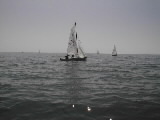 <a href='bateau.php?id_bateau_select=64'>470(11730)</a> : <a href='equipier.php?id_contact_select=9'>Mathieu D</a> - <a href='equipier.php?id_contact_select=10'>Hervé G</a>