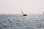 <a href='bateau.php?id_bateau_select=64'>470(11730)</a> : <a href='equipier.php?id_contact_select=9'>Mathieu D</a> - <a href='equipier.php?id_contact_select=10'>Hervé G</a>