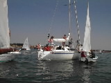 <a href='bateau.php?id_bateau_select=19'>Caneton(2375)</a> : <a href='equipier.php?id_contact_select=38'>François H</a> - <a href='equipier.php?id_contact_select=39'>Frédéric H</a> <br> <a href='bateau.php?id_bateau_select=61'>Rush</a> :  <br> <a href='bateau.php?id_bateau_select=63'>Sécu</a> : 