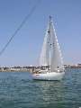 <a href='bateau.php?id_bateau_select=32'>Ecume de Mer</a> : <a href='equipier.php?id_contact_select=71'>Sylvie d</a> - <a href='equipier.php?id_contact_select=72'>Thierry D</a> - <a href='equipier.php?id_contact_select=73'>Antony B</a> - <a href='equipier.php?id_contact_select=74'>Noël G</a>