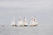 <a href='bateau.php?id_bateau_select=6'>470(12296)</a> : <a href='equipier.php?id_contact_select=11'>Didier D</a> - <a href='equipier.php?id_contact_select=12'>Nathalie D</a> <br> <a href='bateau.php?id_bateau_select=19'>Caneton(2375)</a> : <a href='equipier.php?id_contact_select=38'>François H</a> - <a href='equipier.php?id_contact_select=40'>Stéphane H</a> <br> <a href='bateau.php?id_bateau_select=18'>4.45(4295)</a> :  <br> <a href='bateau.php?id_bateau_select=69'>Wizz</a> : <a href='equipier.php?id_contact_select=128'>Arthur M</a> - <a href='equipier.php?id_contact_select=3'>Olivier M</a>