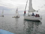 <a href='bateau.php?id_bateau_select=65'>Hobbie Tiger(397)</a> : <a href='equipier.php?id_contact_select=115'>? ?</a> - <a href='equipier.php?id_contact_select=115'>? ?</a> <br> <a href='bateau.php?id_bateau_select=7'>420(43115)</a> : <a href='equipier.php?id_contact_select=13'>Olivier A</a> - <a href='equipier.php?id_contact_select=126'>Etienne A</a> <br> <a href='bateau.php?id_bateau_select=34'>Sangria</a> : <a href='equipier.php?id_contact_select=77'>Luc V</a> - <a href='equipier.php?id_contact_select=78'>Frédérique V</a> - <a href='equipier.php?id_contact_select=131'>Pierre D</a>