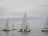 <a href='bateau.php?id_bateau_select=16'>4.45(970)</a> : <a href='equipier.php?id_contact_select=33'>Olivier G</a> <br> <a href='bateau.php?id_bateau_select=13'>4.45(3634 ?)</a> : <a href='equipier.php?id_contact_select=25'>Serge B</a> - <a href='equipier.php?id_contact_select=27'>Morgane B</a> <br> <a href='bateau.php?id_bateau_select=68'>420</a> : <a href='equipier.php?id_contact_select=124'>Laurie E</a> - <a href='equipier.php?id_contact_select=125'>Mikael E</a> <br> <a href='bateau.php?id_bateau_select=21'>Flibustier(888)</a> : <a href='equipier.php?id_contact_select=43'>Jean Pierre G</a> - <a href='equipier.php?id_contact_select=44'>Mariane G</a>