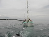 <a href='bateau.php?id_bateau_select=19'>Caneton(2375)</a> : <a href='equipier.php?id_contact_select=38'>François H</a> - <a href='equipier.php?id_contact_select=40'>Stéphane H</a>