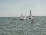 <a href='bateau.php?id_bateau_select=2'>470(8854)</a> : <a href='equipier.php?id_contact_select=85'>Bruno M</a> - <a href='equipier.php?id_contact_select=100'>Julien L</a>