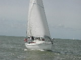 <a href='bateau.php?id_bateau_select=31'>AQUILA(14274)</a> : <a href='equipier.php?id_contact_select=67'>Didier L</a> - <a href='equipier.php?id_contact_select=82'>Jean Philippe L</a> - <a href='equipier.php?id_contact_select=68'>Cyrille L</a> - <a href='equipier.php?id_contact_select=70'>Bernard D</a> - <a href='equipier.php?id_contact_select=140'>Christophe T</a>