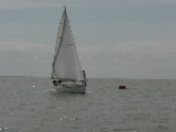 <a href='bateau.php?id_bateau_select=31'>AQUILA(14274)</a> : <a href='equipier.php?id_contact_select=67'>Didier L</a> - <a href='equipier.php?id_contact_select=82'>Jean Philippe L</a> - <a href='equipier.php?id_contact_select=68'>Cyrille L</a> - <a href='equipier.php?id_contact_select=70'>Bernard D</a> - <a href='equipier.php?id_contact_select=140'>Christophe T</a>