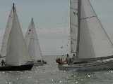 <a href='bateau.php?id_bateau_select=33'>BRIO</a> : <a href='equipier.php?id_contact_select=75'>Alain C</a> <br> <a href='bateau.php?id_bateau_select=31'>AQUILA(14274)</a> : <a href='equipier.php?id_contact_select=67'>Didier L</a> - <a href='equipier.php?id_contact_select=82'>Jean Philippe L</a> - <a href='equipier.php?id_contact_select=68'>Cyrille L</a> - <a href='equipier.php?id_contact_select=70'>Bernard D</a> - <a href='equipier.php?id_contact_select=140'>Christophe T</a> <br> <a href='bateau.php?id_bateau_select=36'>Tequila</a> : <a href='equipier.php?id_contact_select=80'>Damien D</a>