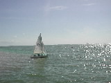 <a href='bateau.php?id_bateau_select=19'>Caneton(2375)</a> : <a href='equipier.php?id_contact_select=38'>François H</a> - <a href='equipier.php?id_contact_select=40'>Stéphane H</a>