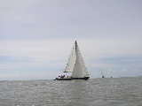 <a href='bateau.php?id_bateau_select=7'>420(43115)</a> : <a href='equipier.php?id_contact_select=13'>Olivier A</a> - <a href='equipier.php?id_contact_select=14'>Fabrice G</a> <br> <a href='bateau.php?id_bateau_select=61'>Rush</a> :  <br> <a href='bateau.php?id_bateau_select=36'>Tequila</a> : <a href='equipier.php?id_contact_select=80'>Damien D</a>