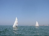 <a href='bateau.php?id_bateau_select=68'>420</a> :  <br> <a href='bateau.php?id_bateau_select=79'>470</a> : <a href='equipier.php?id_contact_select=30'>Thomas D</a> - <a href='equipier.php?id_contact_select=157'>Vincent D</a>