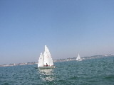 <a href='bateau.php?id_bateau_select=20'>505(4224)</a> : <a href='equipier.php?id_contact_select=40'>Stéphane H</a> - <a href='equipier.php?id_contact_select=160'>Thomas V</a>