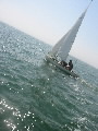<a href='bateau.php?id_bateau_select=4'>470</a> : <a href='equipier.php?id_contact_select=149'>Côme V</a> - <a href='equipier.php?id_contact_select=7'>Emmanuel V</a>