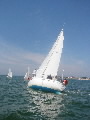 <a href='bateau.php?id_bateau_select=31'>AQUILA(14274)</a> : <a href='equipier.php?id_contact_select=67'>Didier L</a> - <a href='equipier.php?id_contact_select=80'>Damien D</a> - <a href='equipier.php?id_contact_select=176'>Jean P</a> - <a href='equipier.php?id_contact_select=174'>Dominique D</a> - <a href='equipier.php?id_contact_select=175'>Violaine D</a>
