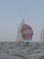 <a href='bateau.php?id_bateau_select=19'>Caneton(2375)</a> : <a href='equipier.php?id_contact_select=39'>Frédéric H</a> - <a href='equipier.php?id_contact_select=165'>Julien H</a>