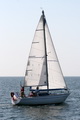 <a href='bateau.php?id_bateau_select=32'>Ecume de Mer</a> : <a href='equipier.php?id_contact_select=72'>Thierry D</a> - <a href='equipier.php?id_contact_select=132'>Patrick C</a> - <a href='equipier.php?id_contact_select=170'>Elisabeth G</a> - <a href='equipier.php?id_contact_select=210'>Anne Mallouine C</a>