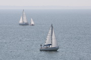<a href='bateau.php?id_bateau_select=94'>470(2519)</a> : <a href='equipier.php?id_contact_select=89'>Benoit J</a> - <a href='equipier.php?id_contact_select=88'>Antoine D</a> <br> <a href='bateau.php?id_bateau_select=93'>First 31.7(35408)</a> : <a href='equipier.php?id_contact_select=38'>François H</a> - <a href='equipier.php?id_contact_select=112'>Anne H</a> <br> <a href='bateau.php?id_bateau_select=34'>Sangria</a> : <a href='equipier.php?id_contact_select=77'>Luc V</a> - <a href='equipier.php?id_contact_select=183'>Antoine V</a> - <a href='equipier.php?id_contact_select=138'>Sébastien M</a> - <a href='equipier.php?id_contact_select=211'>Jacques C</a>