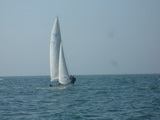 <a href='bateau.php?id_bateau_select=110'>470(77)</a> : <a href='equipier.php?id_contact_select=224'>Sébastien A</a> - <a href='equipier.php?id_contact_select=225'>Frédéric A</a>