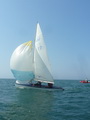 <a href='bateau.php?id_bateau_select=110'>470(77)</a> : <a href='equipier.php?id_contact_select=224'>Sébastien A</a> - <a href='equipier.php?id_contact_select=225'>Frédéric A</a>