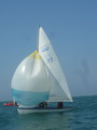 <a href='bateau.php?id_bateau_select=110'>470(77)</a> : <a href='equipier.php?id_contact_select=224'>Sébastien A</a> - <a href='equipier.php?id_contact_select=225'>Frédéric A</a>