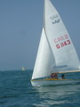 <a href='bateau.php?id_bateau_select=105'>470</a> : <a href='equipier.php?id_contact_select=197'>Cyrille N</a> - <a href='equipier.php?id_contact_select=203'>Thomas N</a>