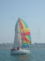 <a href='bateau.php?id_bateau_select=31'>AQUILA(14274)</a> : <a href='equipier.php?id_contact_select=67'>Didier L</a> - <a href='equipier.php?id_contact_select=115'>? ?</a> - <a href='equipier.php?id_contact_select=174'>Dominique D</a> - <a href='equipier.php?id_contact_select=70'>Bernard D</a>