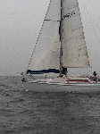 <a href='bateau.php?id_bateau_select=31'>AQUILA(14274)</a> : <a href='equipier.php?id_contact_select=70'>Bernard D</a> - <a href='equipier.php?id_contact_select=67'>Didier L</a> - <a href='equipier.php?id_contact_select=68'>Cyrille L</a> - <a href='equipier.php?id_contact_select=22'>Cédric B</a>