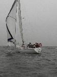 <a href='bateau.php?id_bateau_select=31'>AQUILA(14274)</a> : <a href='equipier.php?id_contact_select=70'>Bernard D</a> - <a href='equipier.php?id_contact_select=67'>Didier L</a> - <a href='equipier.php?id_contact_select=68'>Cyrille L</a> - <a href='equipier.php?id_contact_select=22'>Cédric B</a>