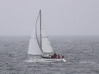 <a href='bateau.php?id_bateau_select=32'>Ecume de Mer</a> : <a href='equipier.php?id_contact_select=72'>Thierry D</a> - <a href='equipier.php?id_contact_select=132'>Patrick C</a> - <a href='equipier.php?id_contact_select=74'>Noël G</a> - <a href='equipier.php?id_contact_select=71'>Sylvie d</a> - <a href='equipier.php?id_contact_select=221'>Anne M</a>