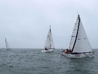 <a href='bateau.php?id_bateau_select=31'>AQUILA(14274)</a> : <a href='equipier.php?id_contact_select=70'>Bernard D</a> - <a href='equipier.php?id_contact_select=67'>Didier L</a> - <a href='equipier.php?id_contact_select=68'>Cyrille L</a> - <a href='equipier.php?id_contact_select=22'>Cédric B</a> <br> <a href='bateau.php?id_bateau_select=32'>Ecume de Mer</a> : <a href='equipier.php?id_contact_select=72'>Thierry D</a> - <a href='equipier.php?id_contact_select=132'>Patrick C</a> - <a href='equipier.php?id_contact_select=74'>Noël G</a> - <a href='equipier.php?id_contact_select=71'>Sylvie d</a> - <a href='equipier.php?id_contact_select=221'>Anne M</a> <br> <a href='bateau.php?id_bateau_select=93'>First 31.7(35408)</a> : <a href='equipier.php?id_contact_select=38'>François H</a> - <a href='equipier.php?id_contact_select=40'>Stéphane H</a>