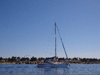 <a href='bateau.php?id_bateau_select=61'>Rush</a> : 