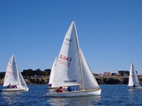<a href='bateau.php?id_bateau_select=89'>420(49534)</a> : <a href='equipier.php?id_contact_select=195'>Hugo P</a> - <a href='equipier.php?id_contact_select=208'>Martin P</a> - <a href='equipier.php?id_contact_select=5'>Pierre P</a> <br> <a href='bateau.php?id_bateau_select=105'>470</a> : <a href='equipier.php?id_contact_select=197'>Cyrille N</a> - <a href='equipier.php?id_contact_select=193'>Adrien B</a> <br> <a href='bateau.php?id_bateau_select=97'>Laser(154670)</a> : <a href='equipier.php?id_contact_select=207'>Jean-Claude C</a>