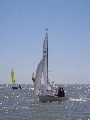 <a href='bateau.php?id_bateau_select=13'>4.45(3634 ?)</a> : <a href='equipier.php?id_contact_select=27'>Morgane B</a> - <a href='equipier.php?id_contact_select=269'>Louis L</a>
